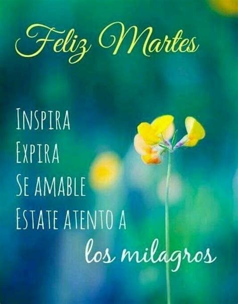 feliz martes bendiciones|mensajes de feliz martes bonitos.